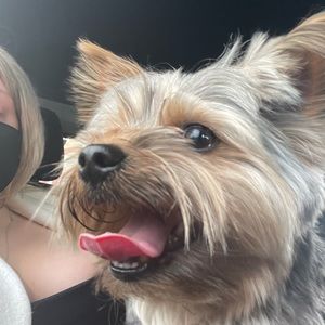 Meet your Posher, Daria